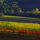 Latest Lights in Autumn